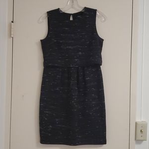4P Ann Taylor Tank Dress